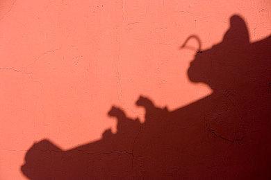 沙盒模拟游戏《花园生活》Steam页面上线 支持简体中文